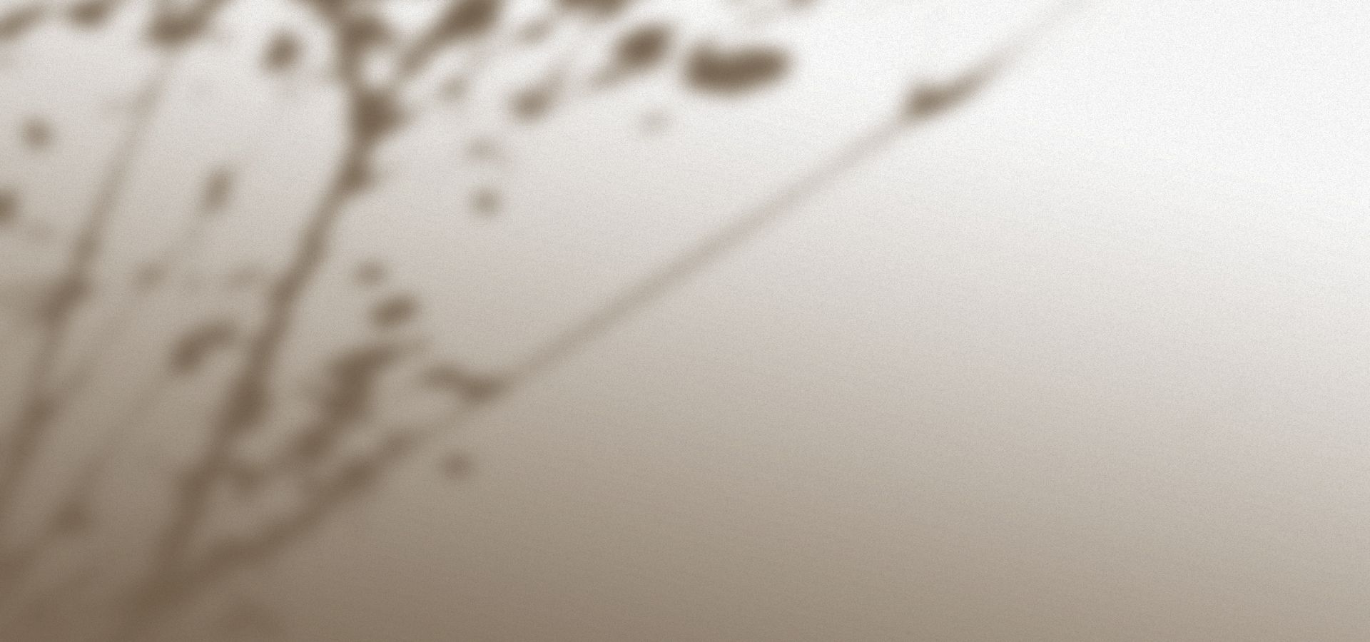 A single branch shadow on a cream wall