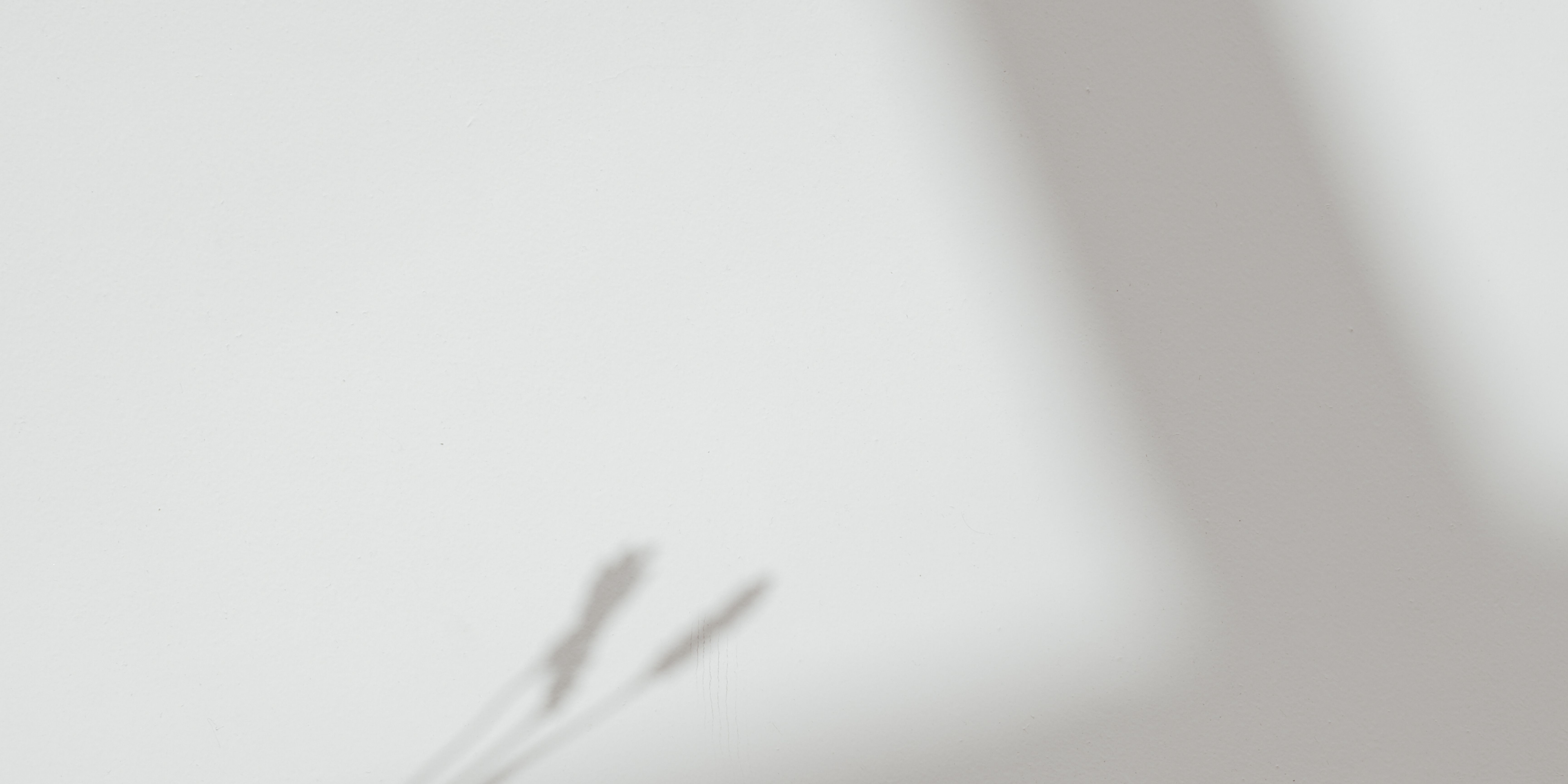 Soft grass-blade shadows on an off-white wall